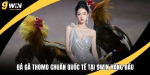Đá Gà Thomo Chuẩn Quốc Tế Tại 9WIN: Trận Đấu Và Chiến Thuật