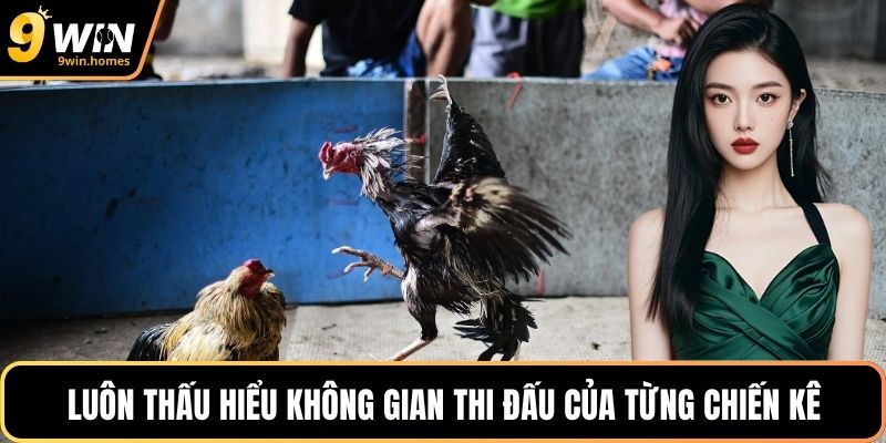 Luôn thấu hiểu không gian thi đấu của từng chiến kê