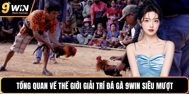Tổng quan về thế giới giải trí đá gà 9WIN siêu mượt